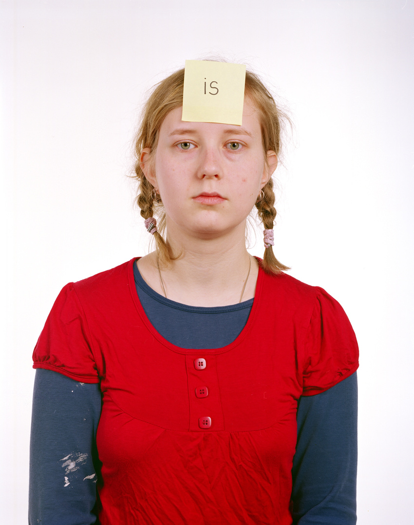 from the series 'Simulations'