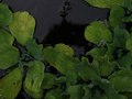 Environmental Photography