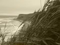 Environmental Photography