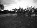 Environmental Photography