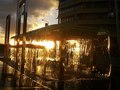 Samples of Photography http://flickrhivemind.net/User/lucidmotion/Timeline