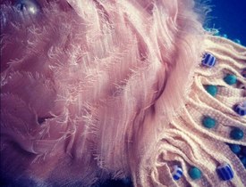 dutch&french hair fascinators