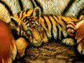 Tigers