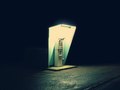 A Desolate Place