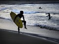 Basque country - Mondo - 2010