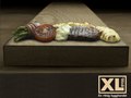 XL-BYGG