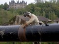 France  Worker on gaz distribution for Gaz de France