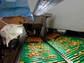 Industrial reportage for Sanofi aventis China & Vietnam by Dung vo Trung