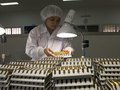 Sanofi aventis china vietnam by Dung vo Trung