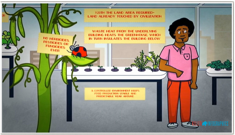 Urban Harvest Video Still