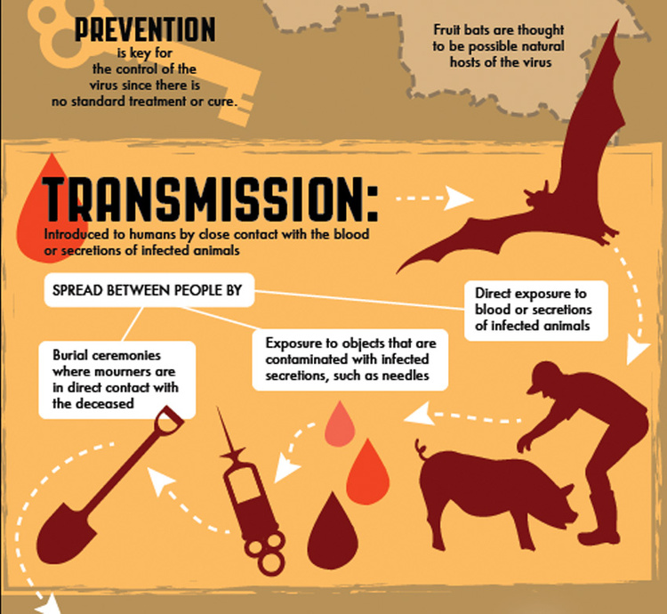 Ebola Infographic Part 2