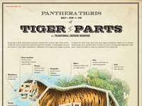 Educational Chart: Tiger Parts | Good 50x70 2010 poster competition winner