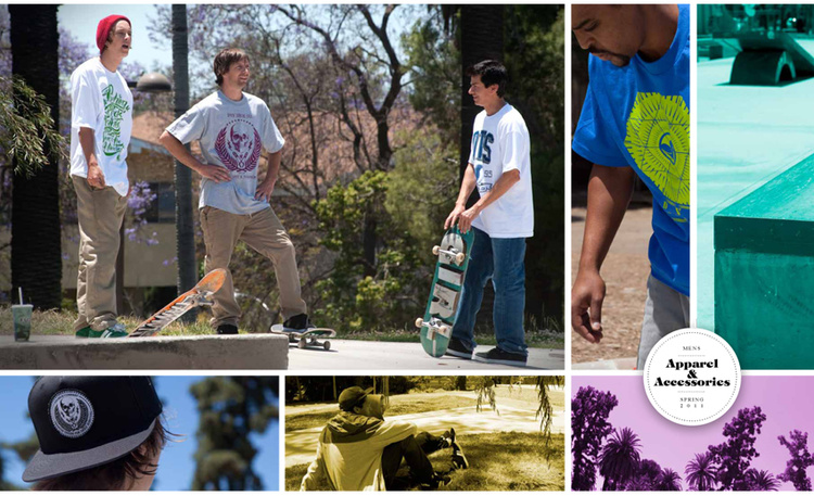 DVS Shoe Co. / Catalog
