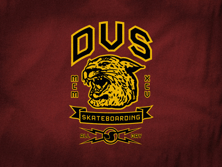 DVS Shoe Co.