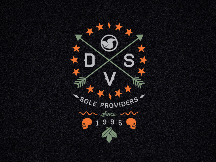 DVS Shoe Co. 
