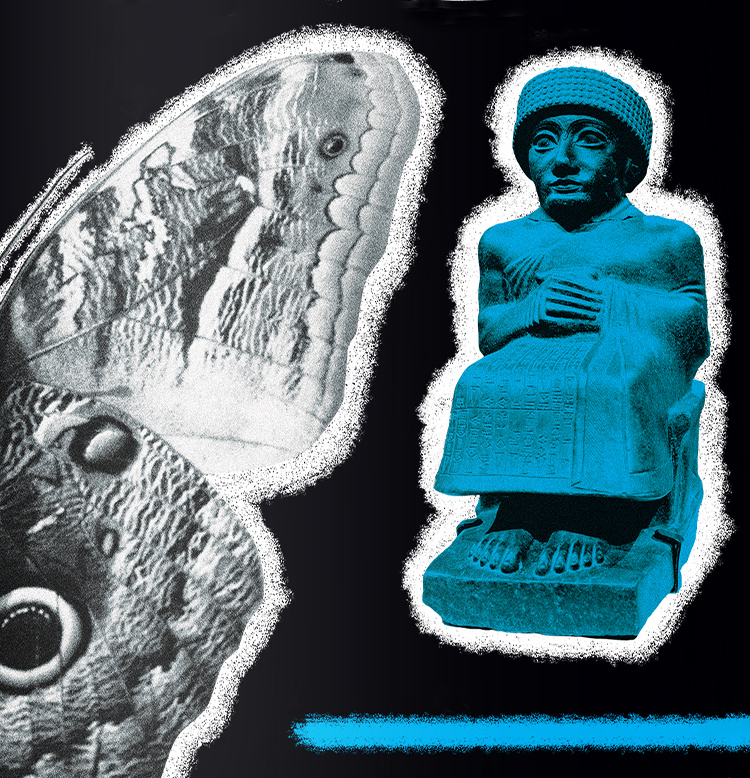 Science / Ancestors