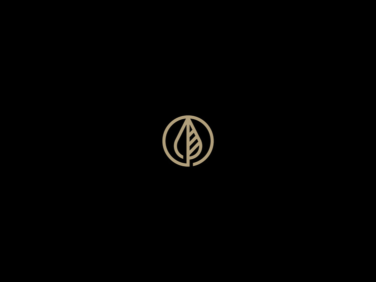 Seasons / A curated series of culinary adventures brought to you by Nopalize.