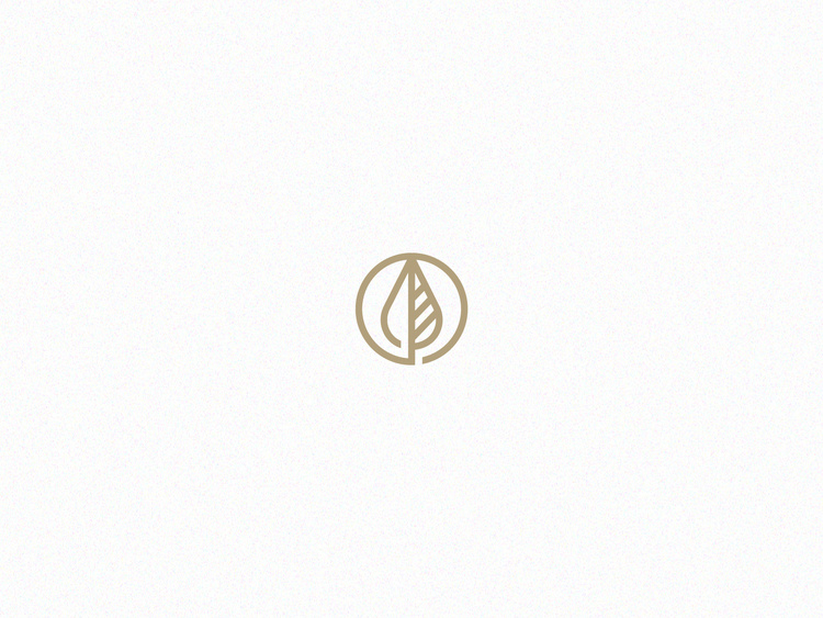 Seasons / A curated series of culinary adventures brought to you by Nopalize.