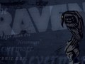Raven Desktop Wallpaper Design.