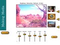 Interactive Web Modules