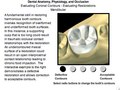 Interactive Web Modules
