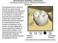 Interactive Web Modules