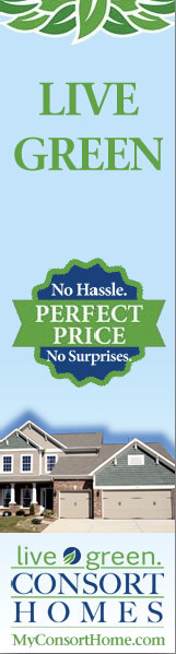 Flash Online Advertistment