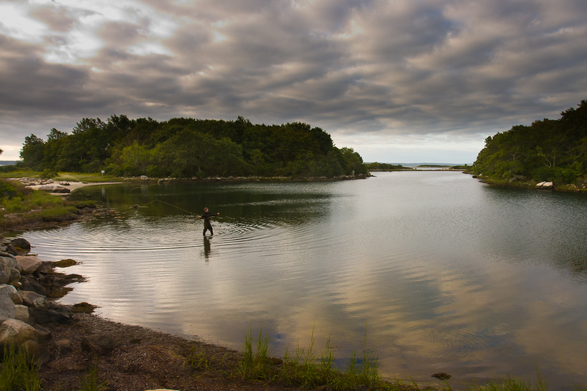 Clearing Storm, Naushon Island