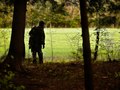 Turkey Hunter Stalk