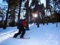 Bording the Glades