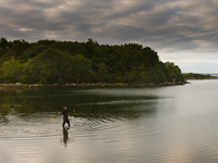 Clearing Storm, Naushon Island