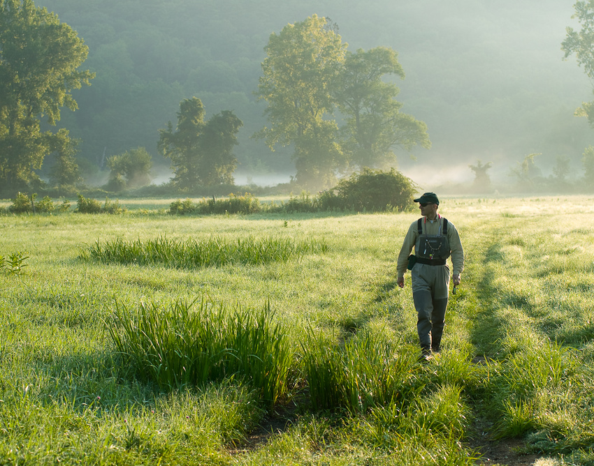 Spring Morning Mist