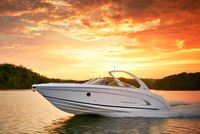 Marine Photography and Edits