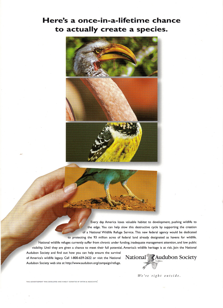 Print ads