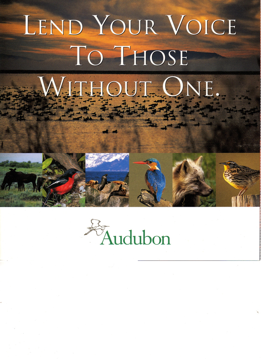 Audubon Society brochure