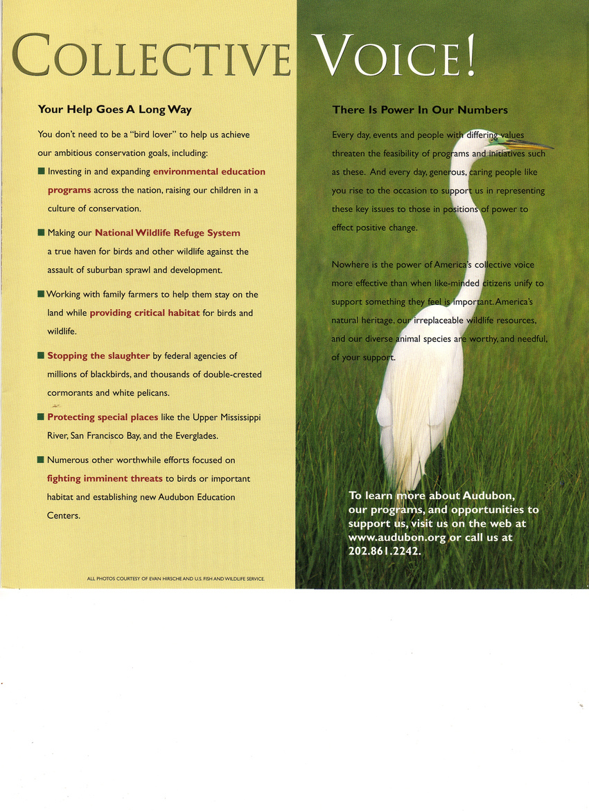 Audubon Society brochure