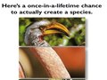 Print ads