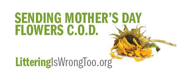 Littering is Wrong, Too outdoor