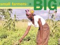 Food security newsletter for Lutheran World Relief