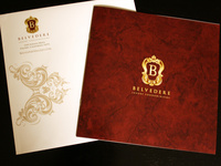 4-color brochure for luxury condominium community