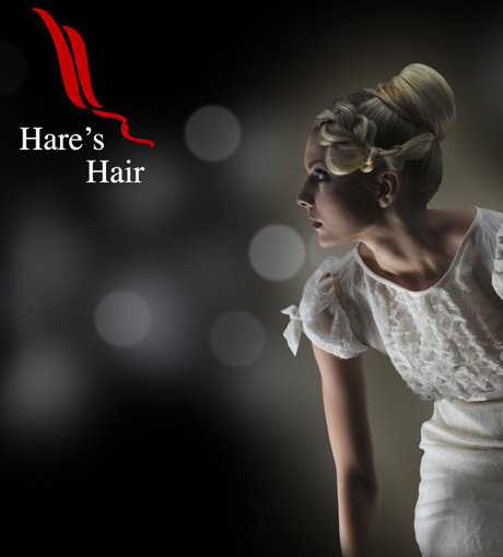 Hare's Hair Website Design
