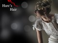 Hare's Hair Website Design