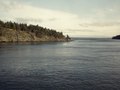 Medium Format