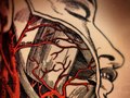 Anatomy Series/Book Cover