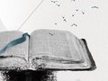 Defined