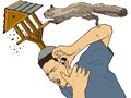 Loaded : Local legends : Bird table man