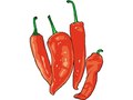 Men's Health : Diary : Hot chilli peppers