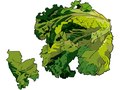 Men's Health : Diary : Greens