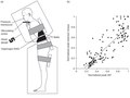 Elsevier : Therapeutic Exercise for Lumbopelvic Stabilization