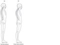 Elsevier : Therapeutic Exercise for Lumbopelvic Stabilization